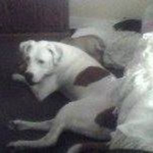 Meet your Posher, Sonny